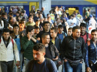 جرمنی:مہاجرین اپنی ہم وطن خواتین کا ریپ کررہے ہیں