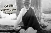 پشتو ادب کا بابائے تنقید، کاکاجی صنوبرحسین مومند