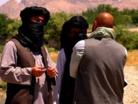 پاکستان:طالبان کی سرگرمیوں میں ایک بار پھر اضافہ