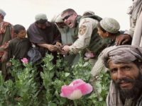 منشیات: افغان جہاد کا اہم حصہ تھی