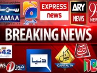 پاکستان میں میڈیا ٹریبونلز کے قیام کا اعلان، معاملہ ہے کیا؟